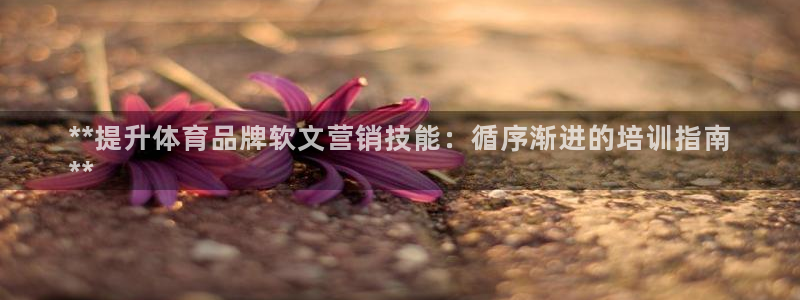 耀世登场下一句：**提升体育品牌软文营销技能：循序渐