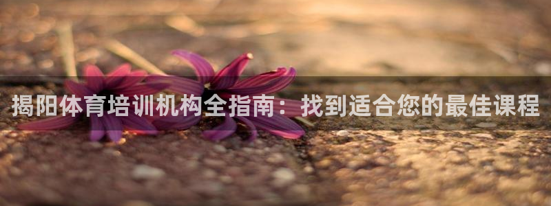 耀世集团的创始人是谁：揭阳体育培训机构全指南：找到适合您的最