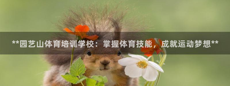 耀世歌曲：**园艺山体育培训学校：掌握体育技能，成就