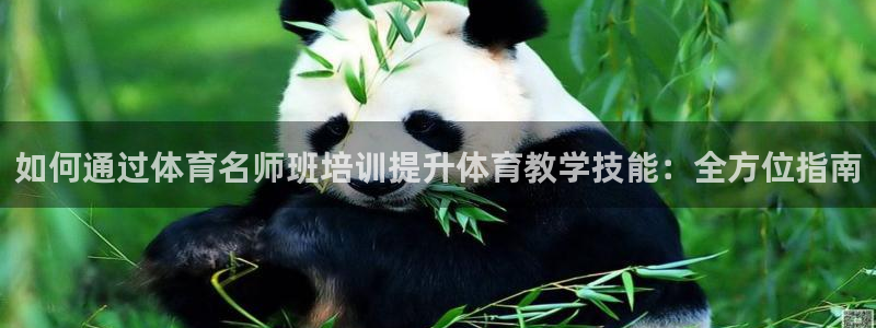 耀世平台注册网址是什么意思：如何通过体育名师班培训提