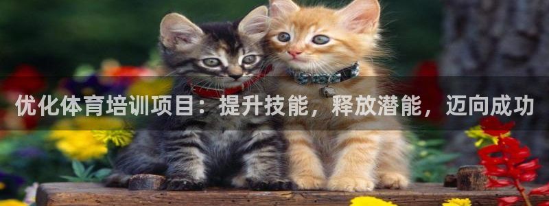 耀世娱乐可以玩吗是真的吗：优化体育培训项目：提升技能