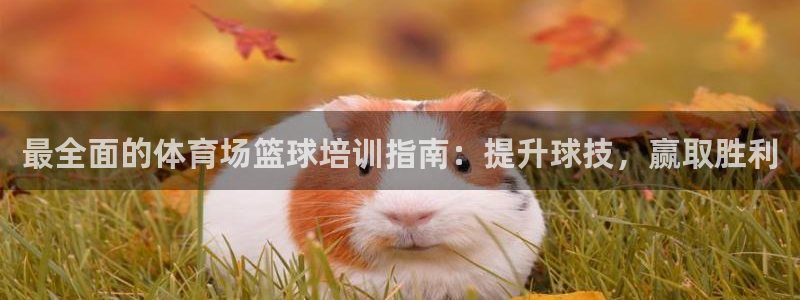 耀世出行：最全面的体育场篮球培训指南：提升球技，赢取