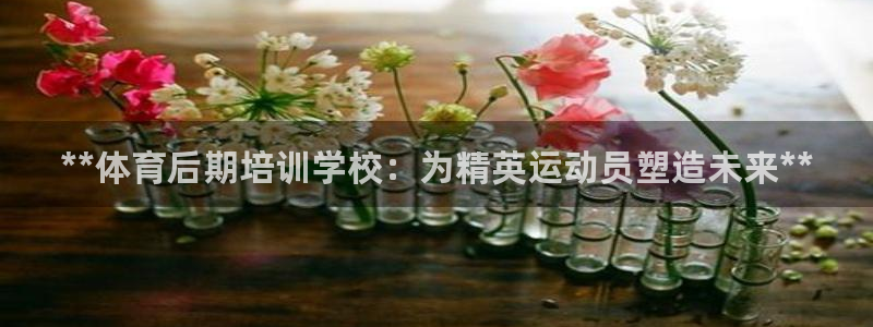 耀世娱乐登录地址在哪查：**体育后期培训学校：为精英