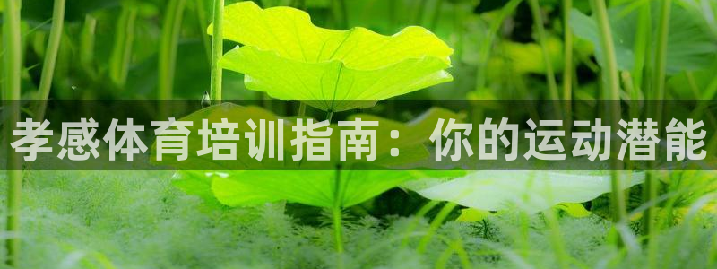 耀世集团王大聪：孝感体育培训指南：你的运动潜能