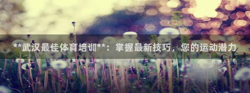 耀世娱乐在线登录官网入口：**武汉最佳体育培训**：