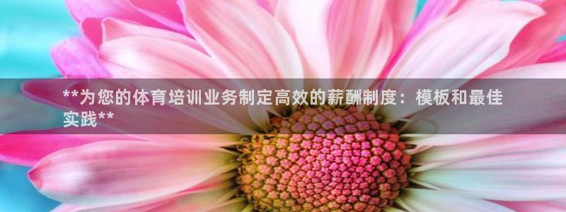 耀世娱乐网址是什么啊：**为您的体育培训业务制定高效