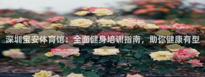 耀世平台关7O777：深圳宝安体育馆：全面健身培训指