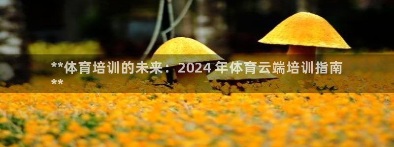 耀世集团是干嘛的：**体育培训的未来：2024 年体育云端培