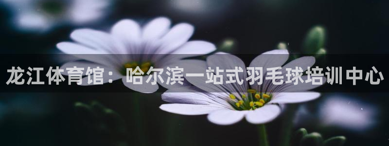 耀世平台荐 5o69I7：龙江体育馆：哈尔滨一站式羽毛球培训