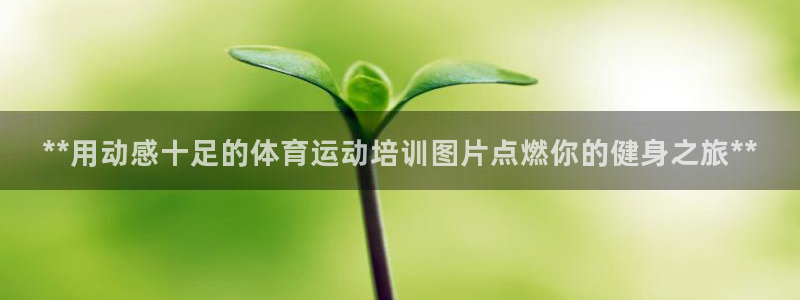 耀世平台代理注册登录失败：**用动感十足的体育运动培训图片点