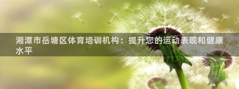 耀世挑战攻略：湘潭市岳塘区体育培训机构：提升您的运动