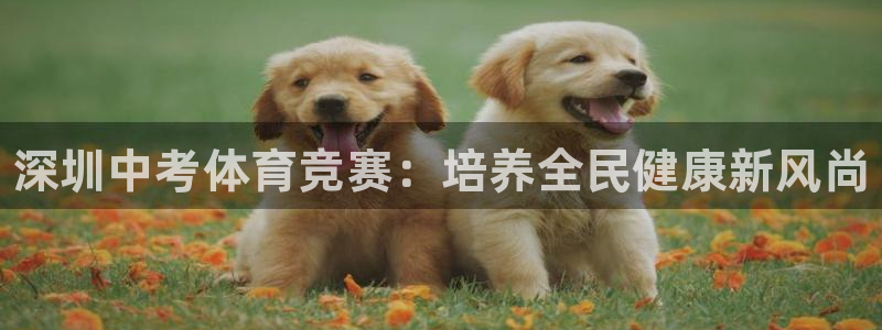 耀世娱乐如何登录平台账户：深圳中考体育竞赛：培养全民健康新风