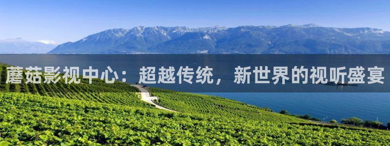 vs影院网
