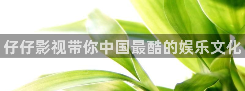 vs影院首页电视剧