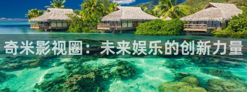 日本高清不卡免费v视频