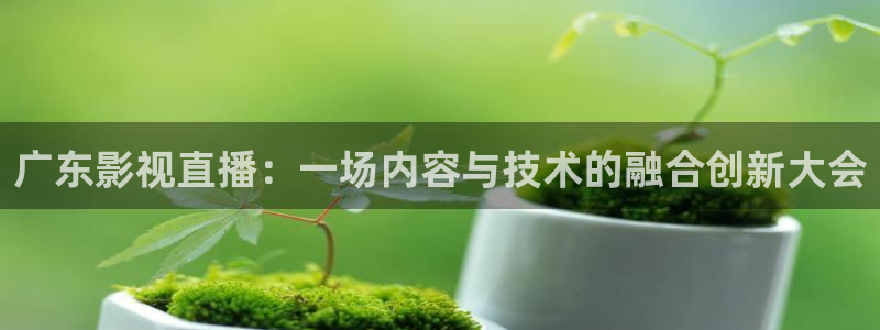 vs影院官网下载