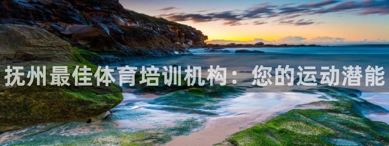 耀世集团视频直播：抚州最佳体育培训机构：您的运动潜能