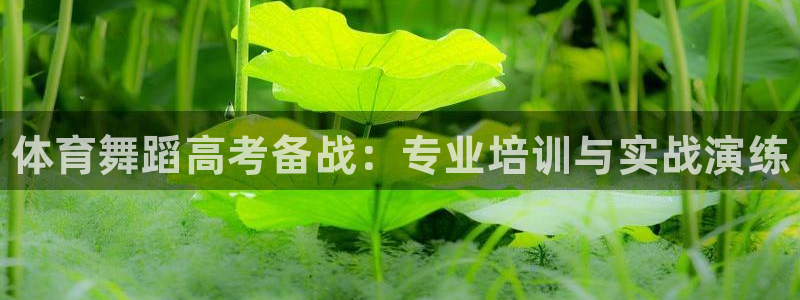 耀世集团王大聪图片