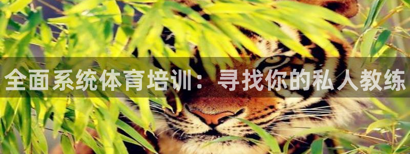 耀世娱乐app下载安装：全面系统体育培训：寻找你的私人教练