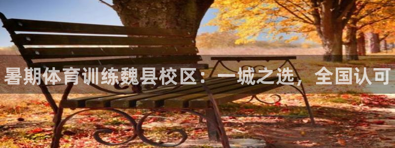 耀世娱乐是不是赚钱：暑期体育训练魏县校区：一城之选，