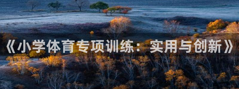 耀世平台注册链接怎么打开：《小学体育专项训练：实用与