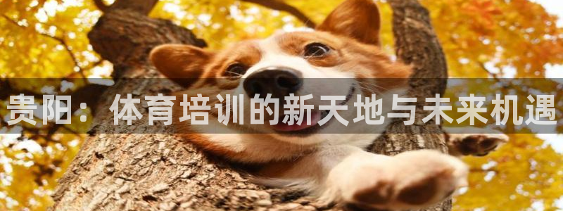 耀世娱乐建334-82 主管：贵阳：体育培训的新天地与未来机