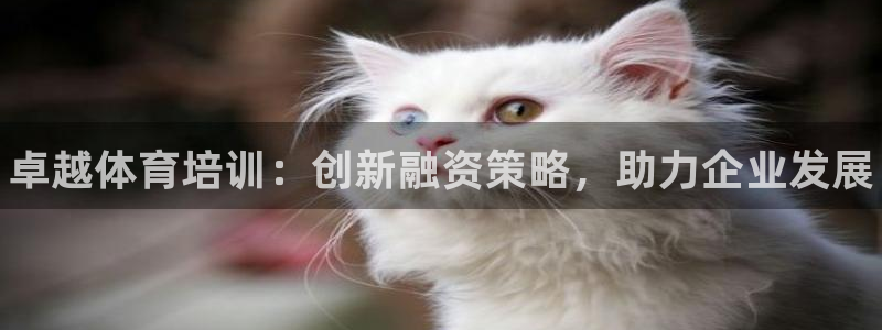 耀世天下的网名是什么意思啊：卓越体育培训：创新融资策略，助力
