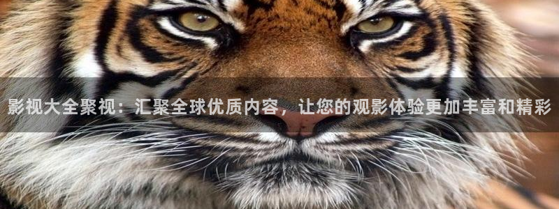vs影院电视官网