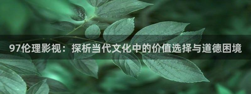 vs影院在线观看